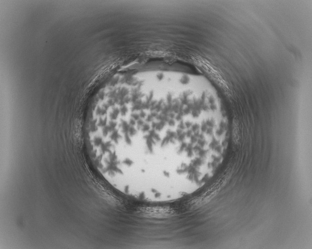 X0000115740449200912101318