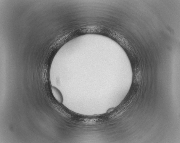 X0000115740450200912101318