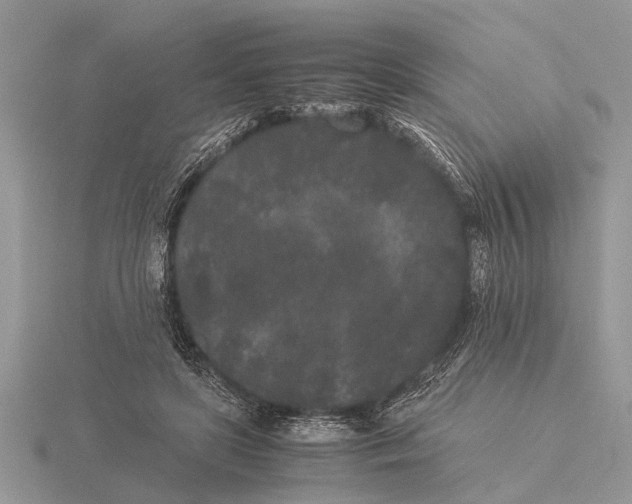 X0000115740451200912101318