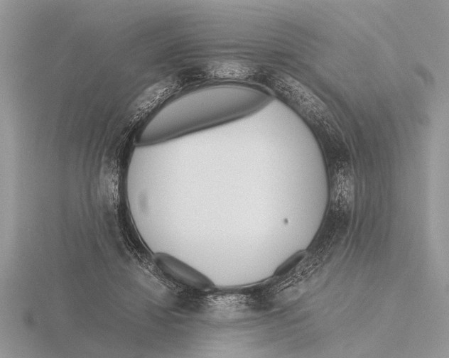 X0000115740452200912101318