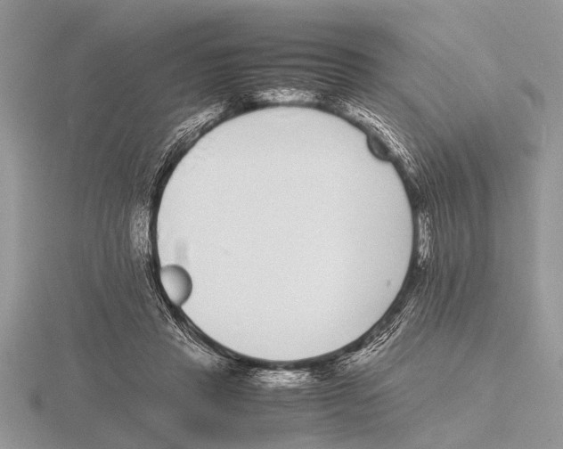 X0000115740453200912101318