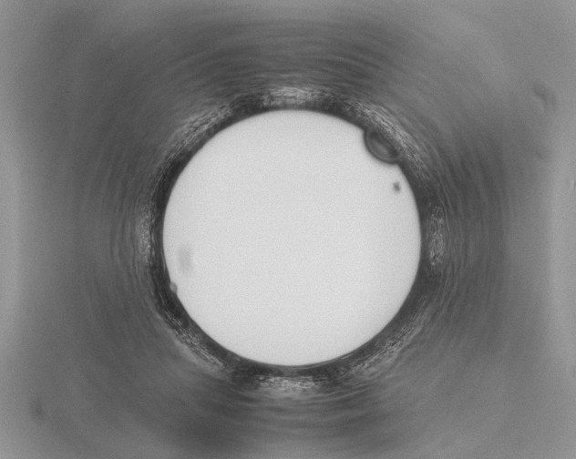 X0000115740455200912101318