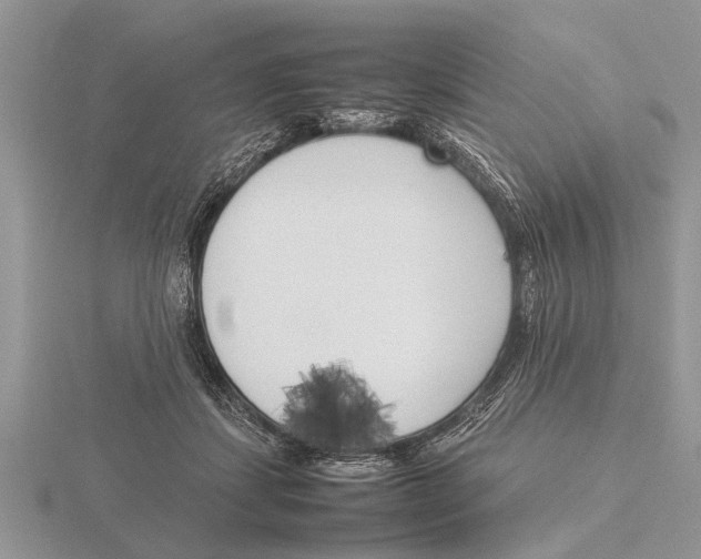 X0000115740459200912101318