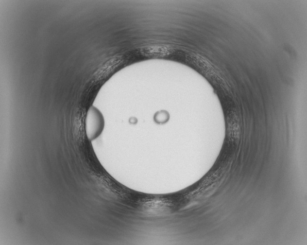 X0000115740460200912101318