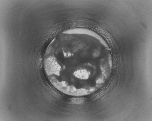 X0000115740465200912101318