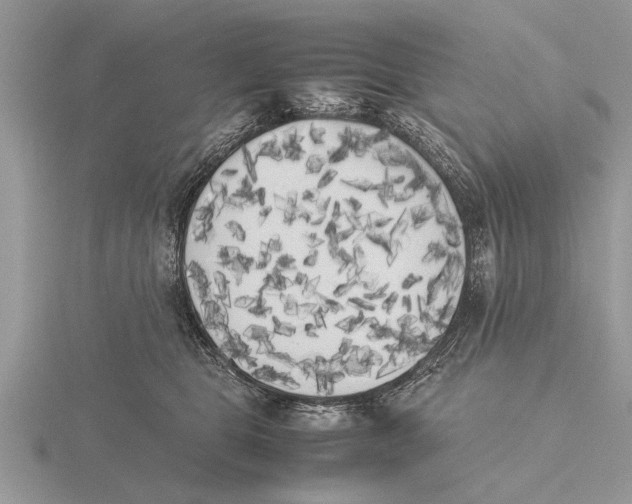 X0000115740469200912101318