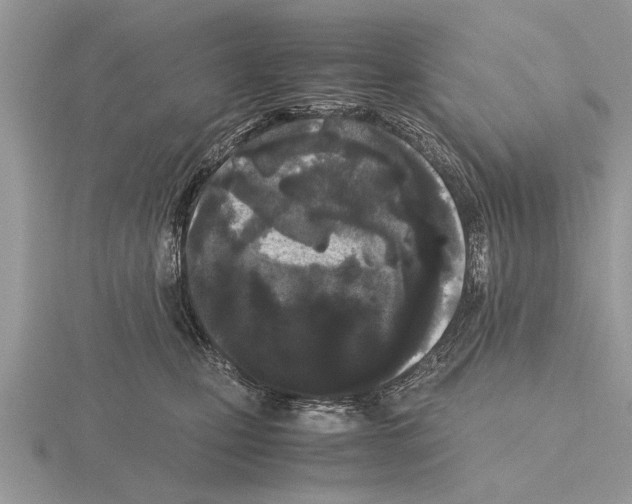 X0000115740471200912101318