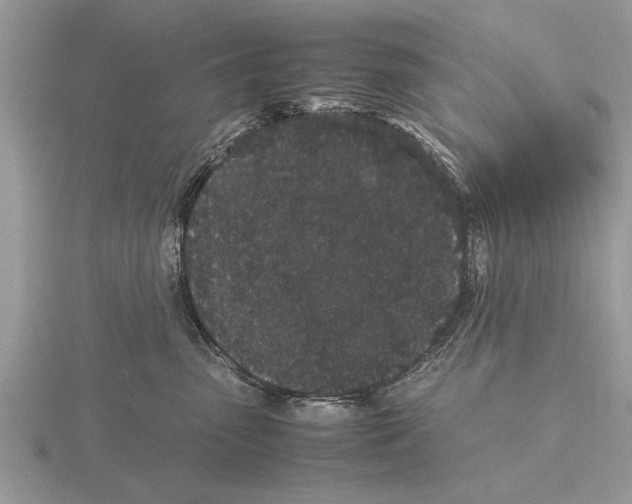 X0000115740475200912101318