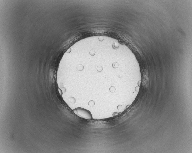 X0000115740476200912101318