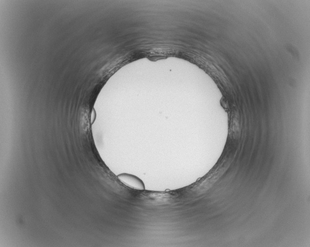 X0000115740478200912101318