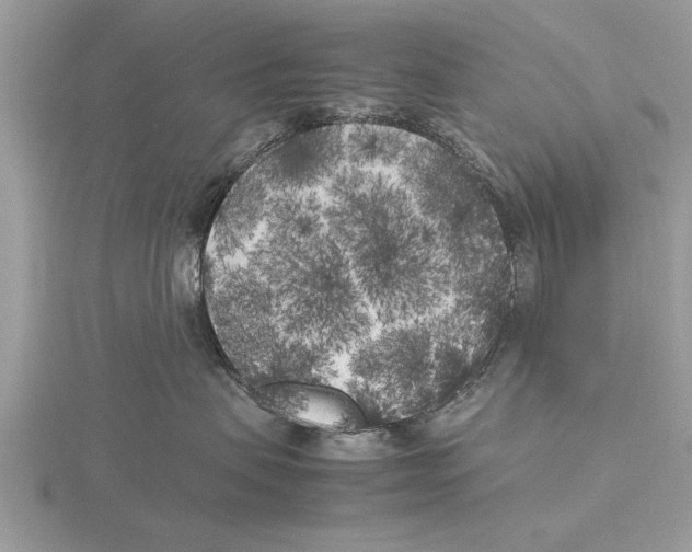 X0000115740479200912101318