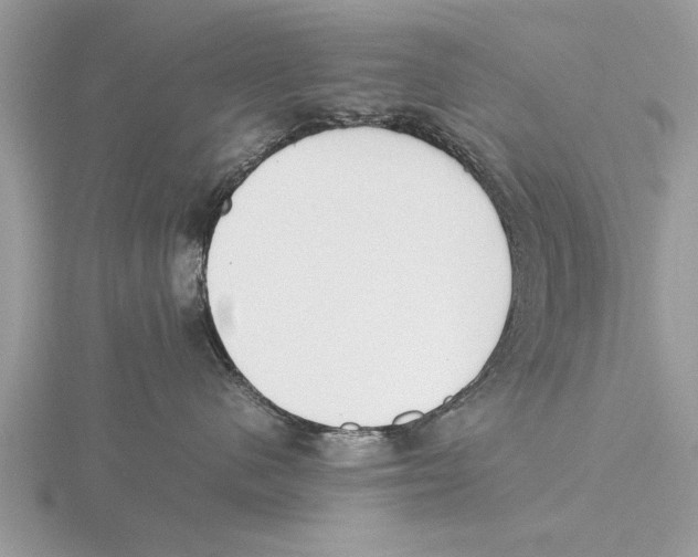 X0000115740480200912101318