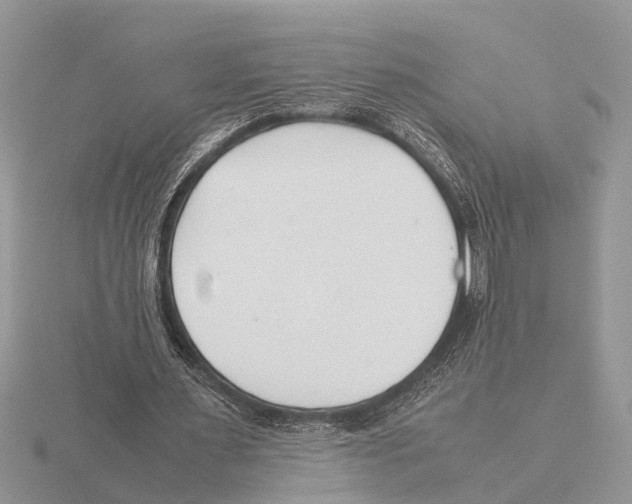 X0000115740483200912101318