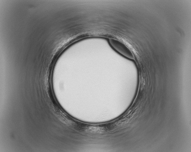 X0000115740487200912101318