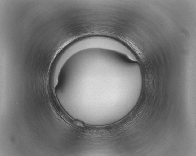 X0000115740488200912101318