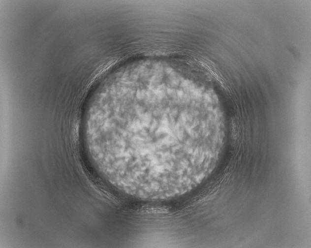 X0000115740491200912101318