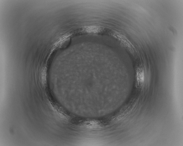 X0000115740492200912101318