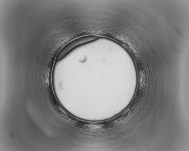 X0000115740495200912101318