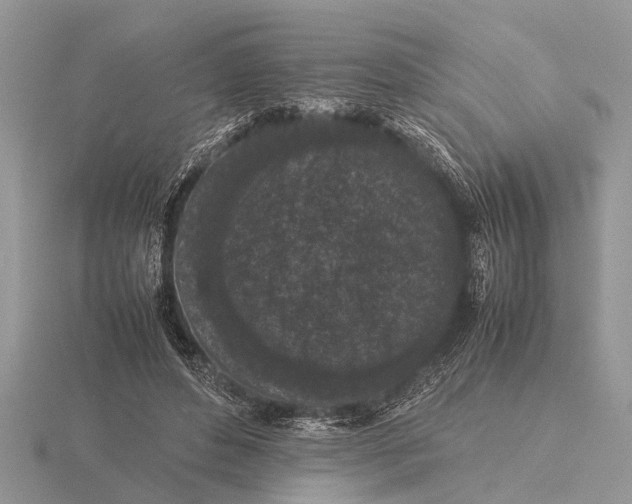 X0000115740496200912101318