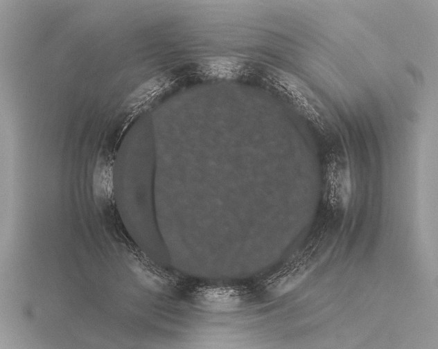 X0000115740500200912101318