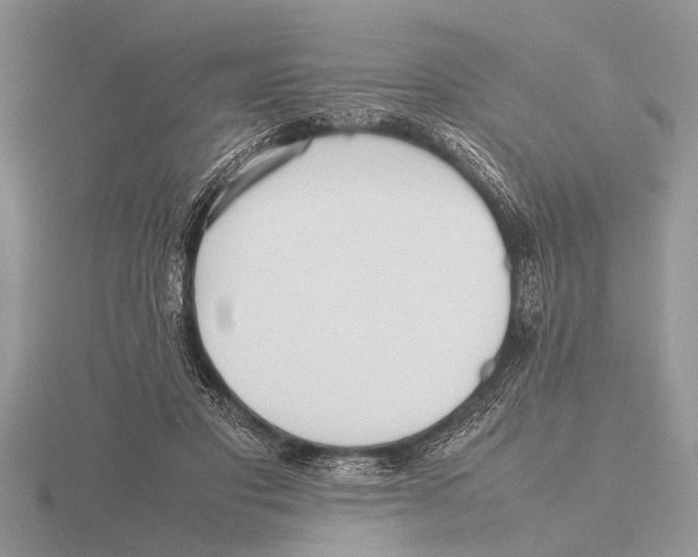 X0000115740501200912101318