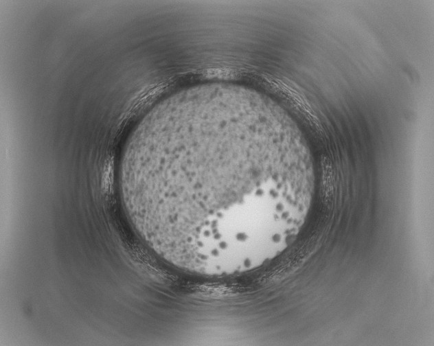 X0000115740502200912101317