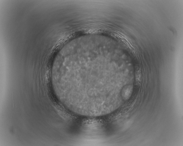 X0000115740503200912101317