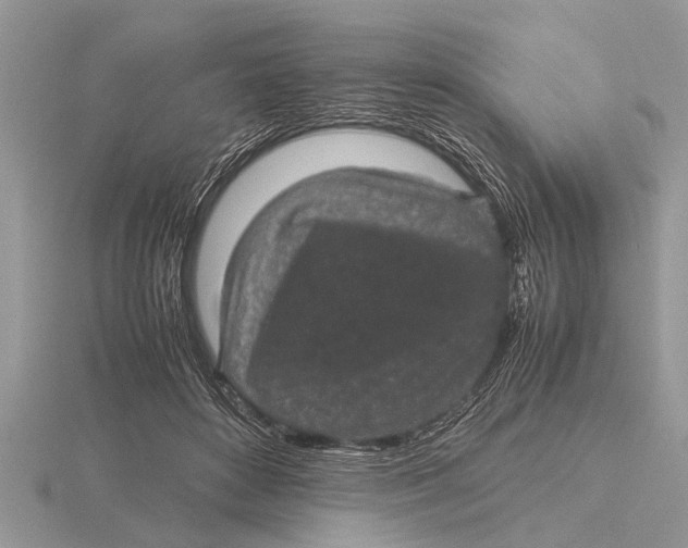 X0000115740504200912101317