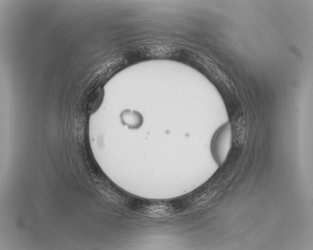 X0000115740505200912101317