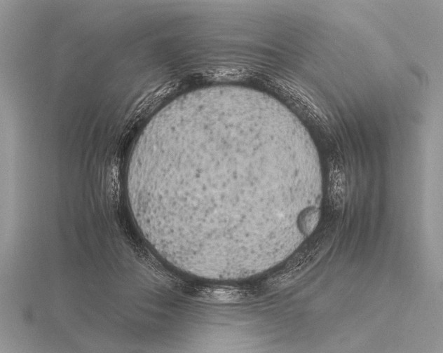 X0000115740506200912101317