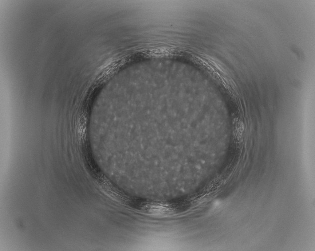 X0000115740507200912101317