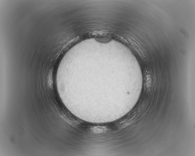 X0000115740508200912101317