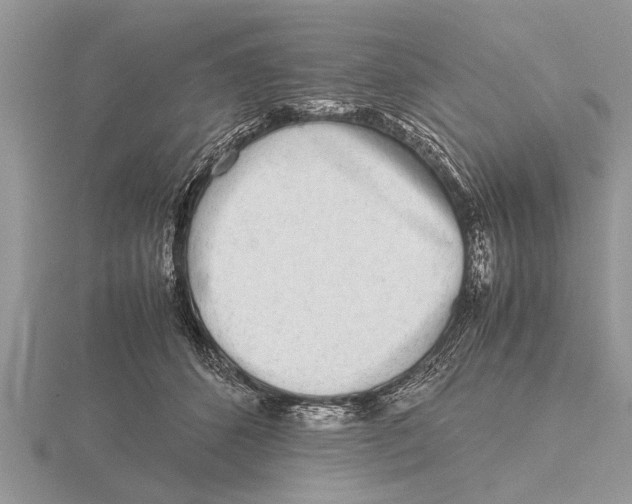 X0000115740512200912101317