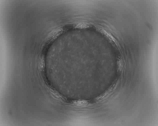 X0000115740517200912101317