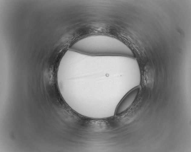 X0000115740520200912101317