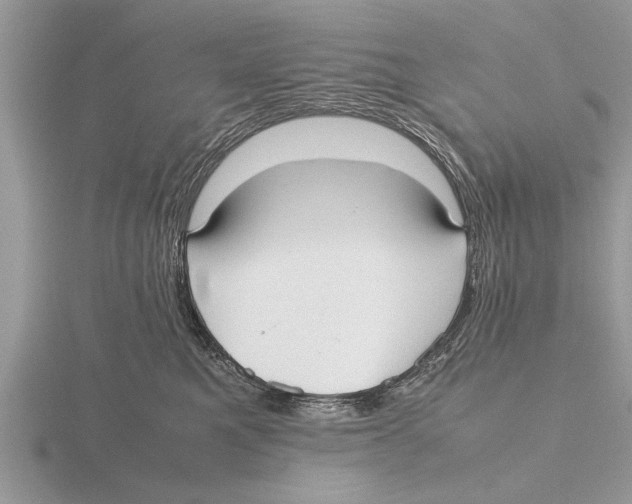 X0000115740521200912101317