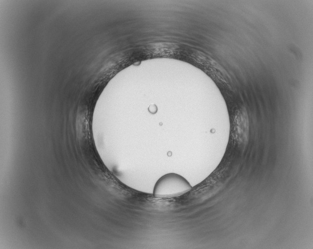 X0000115740522200912101317