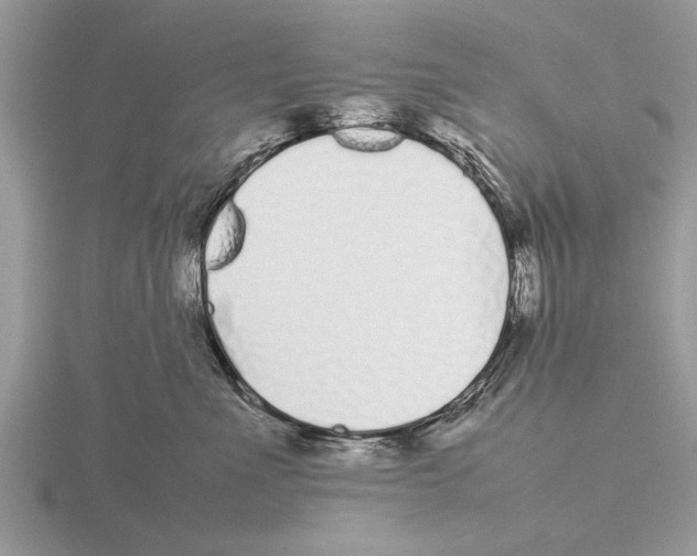 X0000115740523200912101317