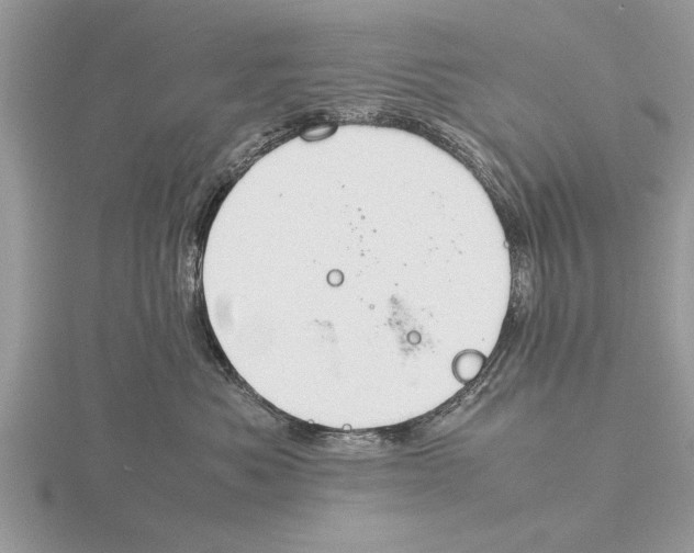 X0000115740525200912101317