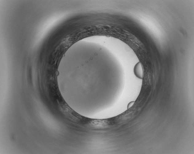 X0000115740526200912101317