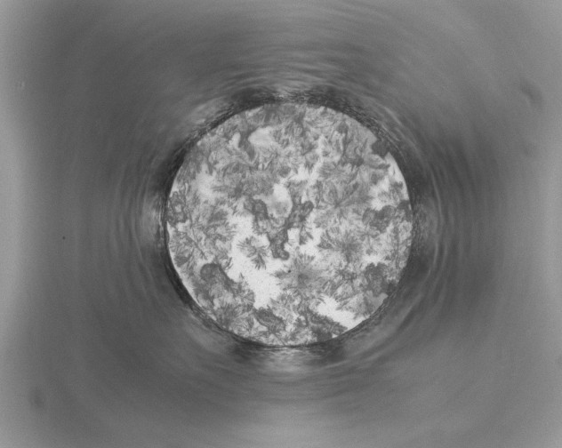 X0000115740527200912101317