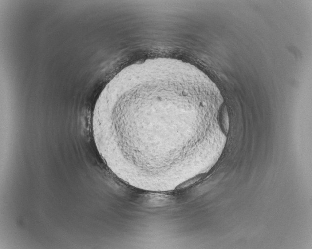 X0000115740528200912101317