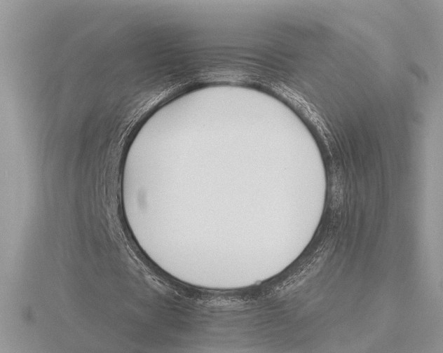 X0000115740529200912101316