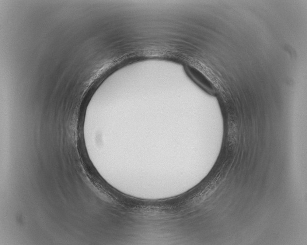 X0000115740530200912101316