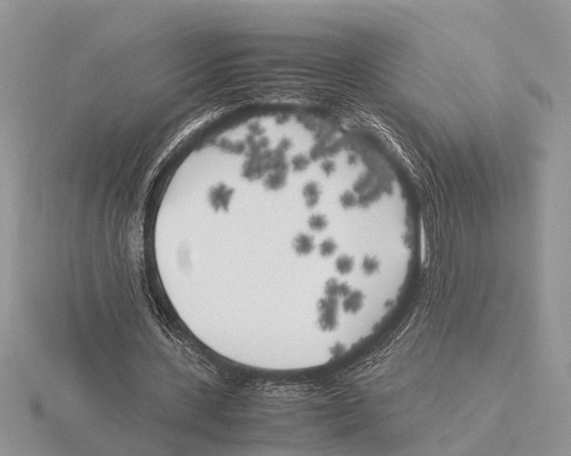 X0000115740531200912101316