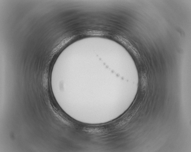 X0000115740533200912101316