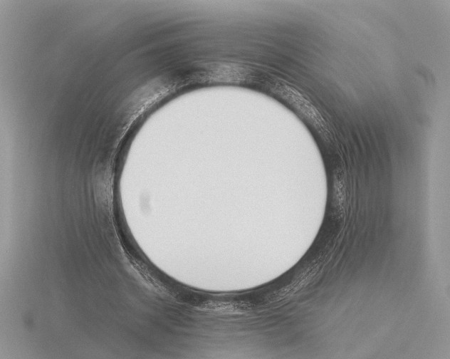 X0000115740534200912101316