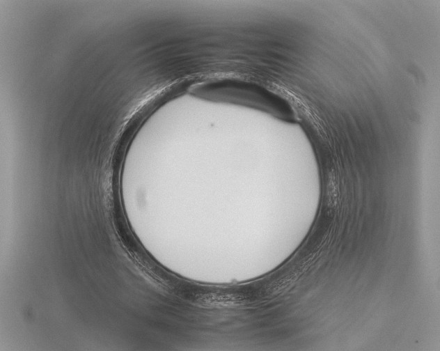 X0000115740535200912101317