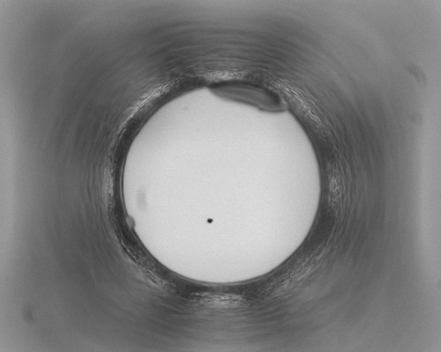 X0000115740539200912101317