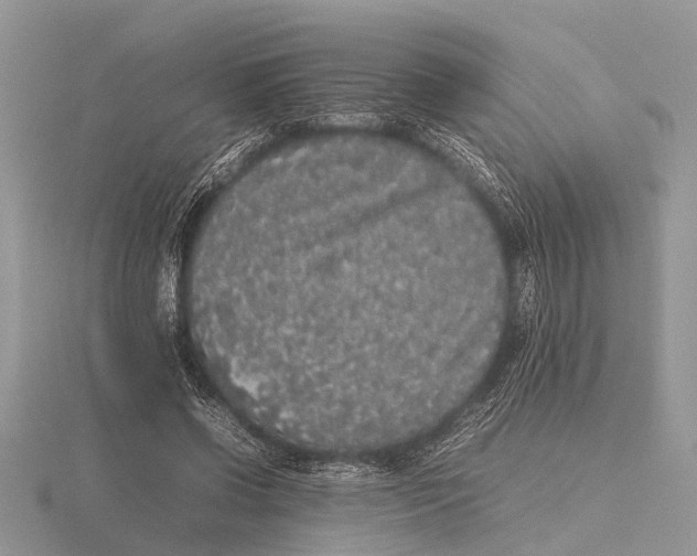 X0000115740542200912101317